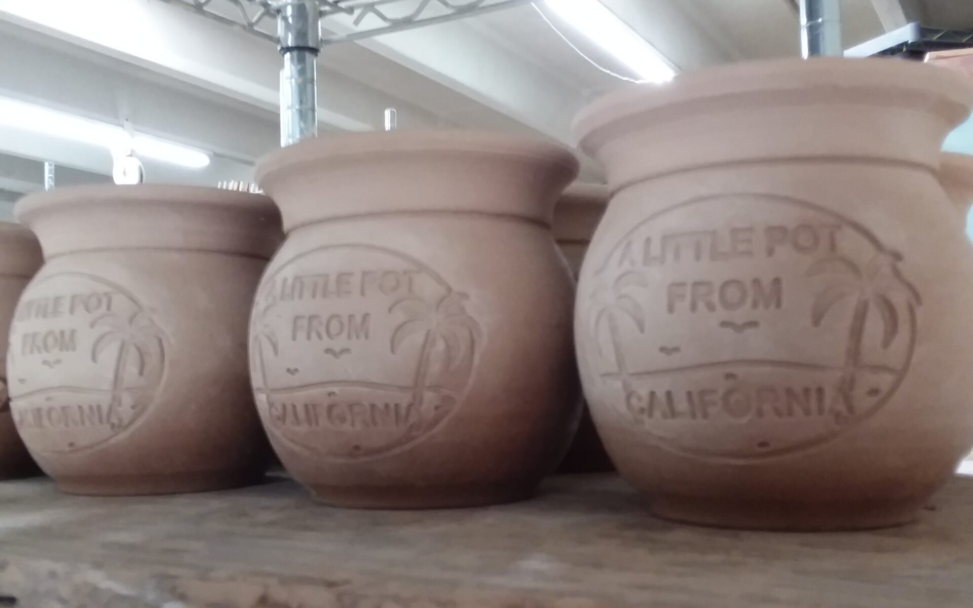 WorkingonLittlePotsCalifornia